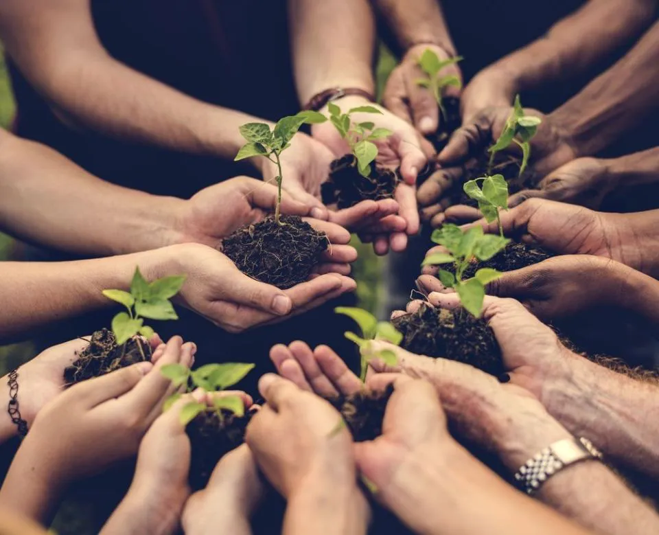 Caminhos Verdes: A Jornada Mundial em Direção à Sustentabilidade