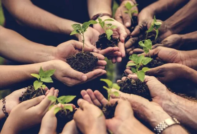 Caminhos Verdes: A Jornada Mundial em Direção à Sustentabilidade