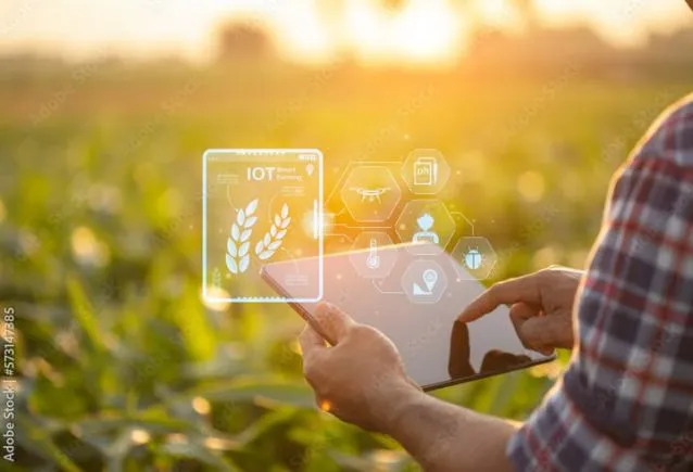 Do Agro ao Luxo: Por que Empresários do Setor Estão Investindo em Imóveis Frente ao Mar?
