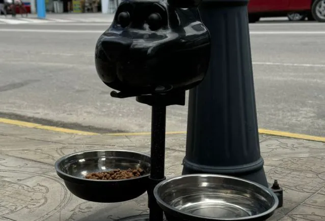 Espaços Pet: Tendência em Crescimento e a Importância de Oferecer Conforto aos Nossos Amigos de Quatro Patas