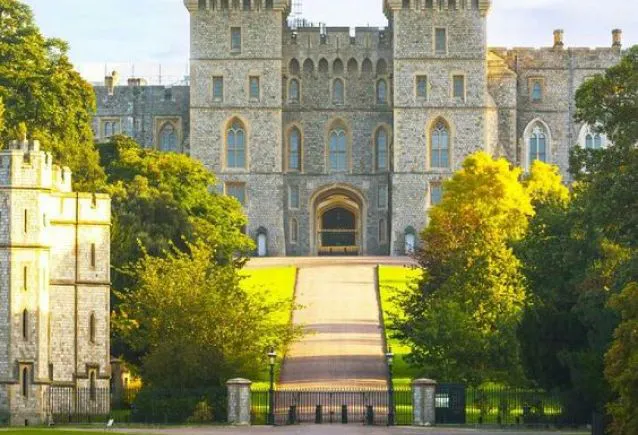George VI: Um Refúgio de Luxo e Natureza em Itapema 