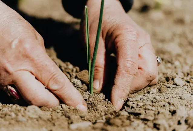 Projeto Eco-Royal: Responsabilidade Socioambiental na Gessele Empreendimentos