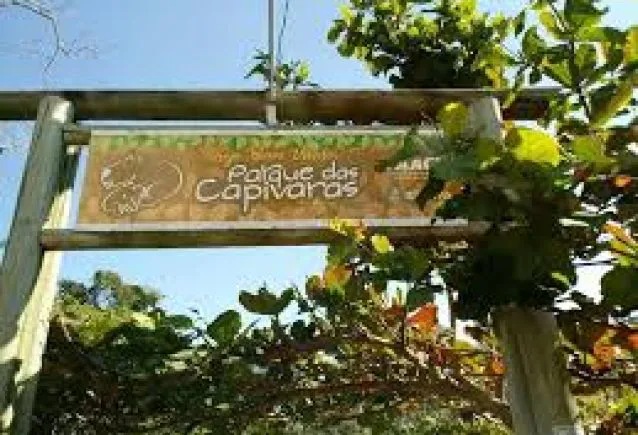 Tempo de Qualidade: O Verdadeiro Presente para a Família