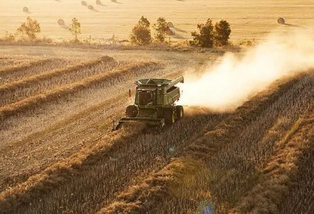 Tradição e Inovação: O Que o Mercado Agro e o Imobiliário de Luxo Têm em Comum?