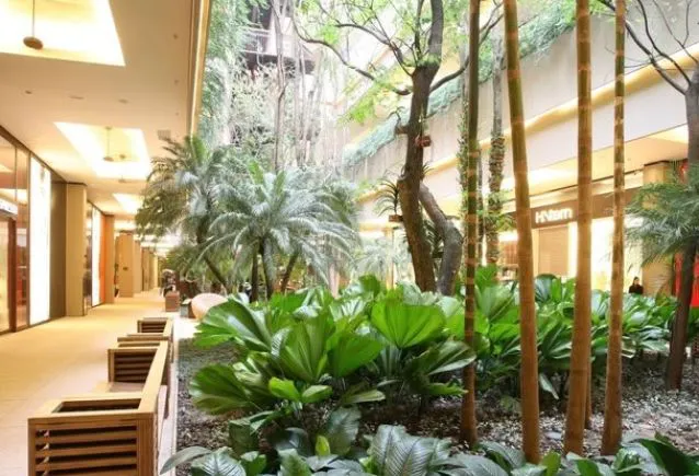 Wellness Living: O Novo Luxo na Arquitetura e Construção de Alto Padrão
